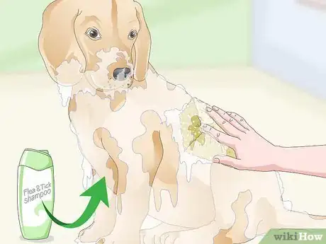 Image titled Treat Canine Tick Problems Step 2