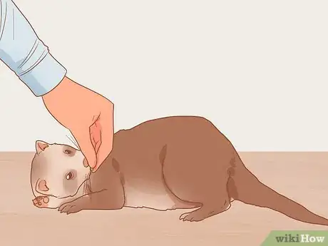 Image titled Keep Your Pets Happy Step 3