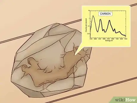 Image titled Date Fossils Step 1