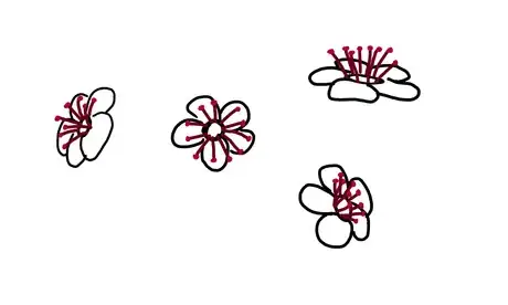 Image titled Cherry 4.png