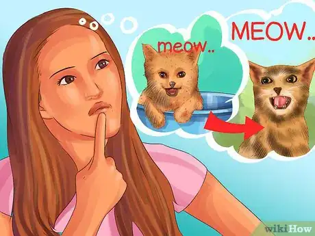 Image titled Choose a Kitten Name Step 11