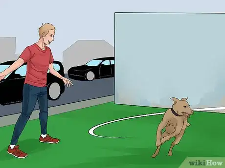 Image titled Catch a Runaway Dog Step 8