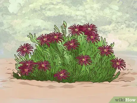 Image titled Plant on a Slope Step 4