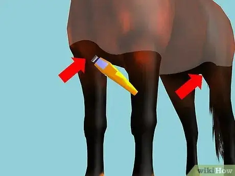 Image titled Clip Your Horse Step 20