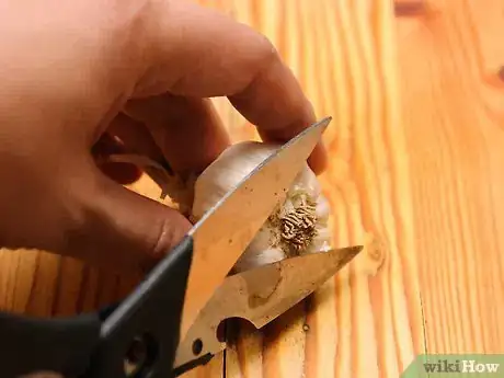Image titled Dry Garlic Step 3