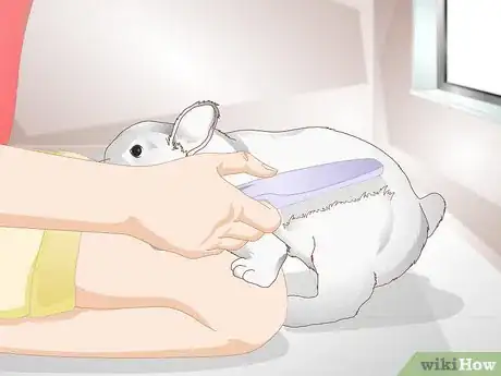 Image titled Spoil Your Pet Rabbit Step 5