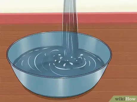 Image titled Ease Your Dog's Stomach Problems Step 9