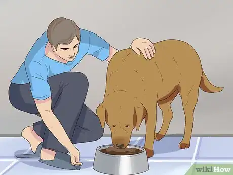 Image titled Introduce a Dog to Pet Chickens Step 2