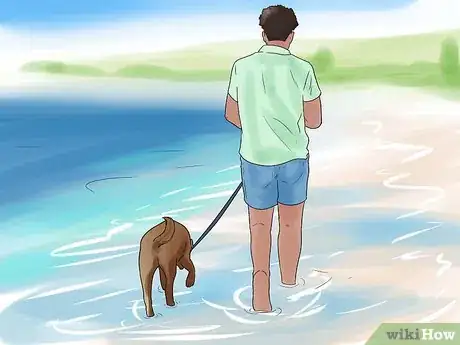 Image titled Have Fun Giving Your Dog a Flea Bath Step 1
