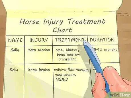 Image titled Hand Walk an Injured Horse Step 3