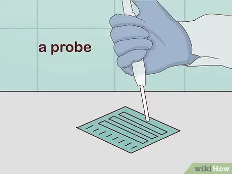 Image titled Determine Genotype Step 12