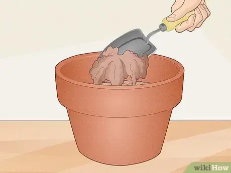 Image titled Make a Mini Garden in Your Room Step 2