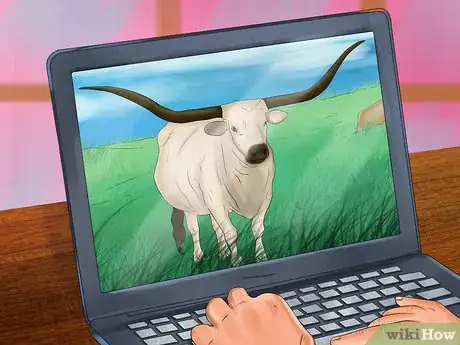 Image titled Identify Texas Longhorn Cattle Step 1