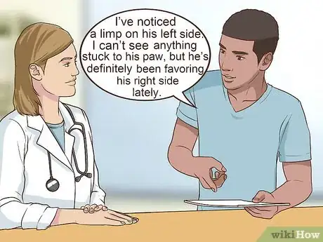 Image titled Get a Complete Geriatric Work Up for Your Dog Step 8