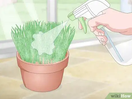Image titled Make a Grass Pot for Cats Step 11