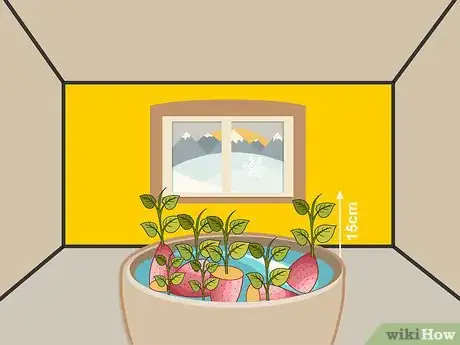 Image titled Sprout Sweet Potatoes Step 09