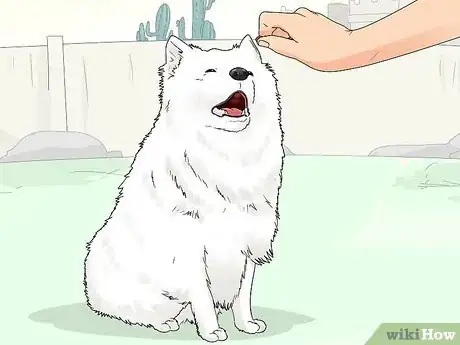 Image titled Train a Deaf Pet Step 2