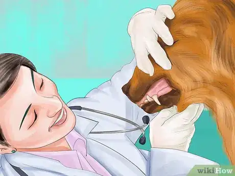 Image titled Stop Your Dog from Misbehaving Dangerously Step 13