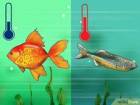 Image titled Choose Fish for a Freshwater Aquarium Step 4