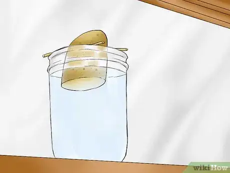 Image titled Grow Sweet Potatoes Step 5