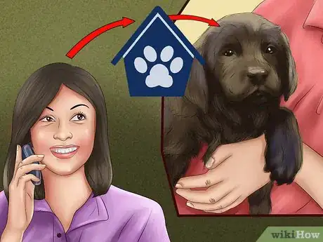 Image titled Buy a Chocolate Labrador Step 16