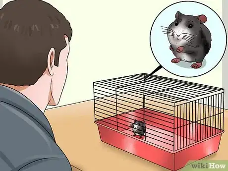 Image titled Tame an Older Hamster Step 4