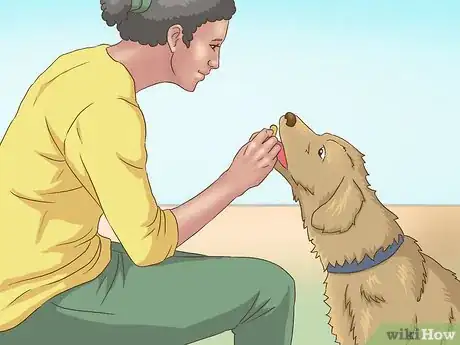 Image titled Have Fun Without Electronics Step 8