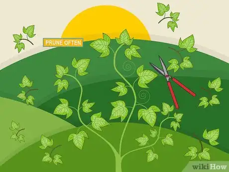 Image titled Prune Organic Plants Step 11