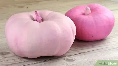 Image titled Paint Pumpkins Pink Step 6