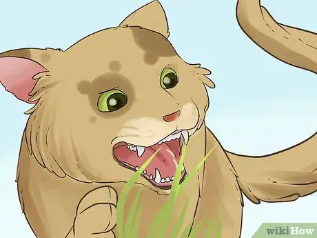 Image titled Diagnose Chronic Vomiting in Cats Step 1