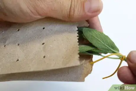 Image titled Dry Sage Step 10