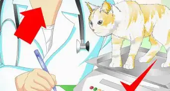 Slow Down a Cat Who Eats Too Fast