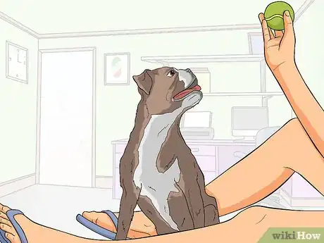 Image titled Engage in Healthy Play with Your Dog Step 4