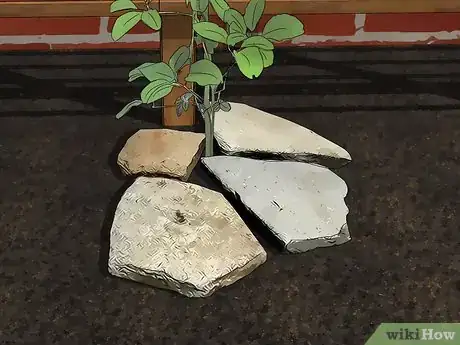 Image titled Grow Akebia Quinata Step 16