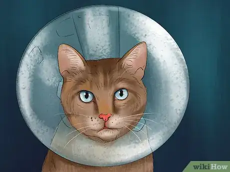 Image titled Apply Topical Medication to a Cat Step 8