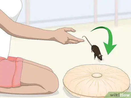 Image titled Safely Let a Mouse Out of Its Cage Step 8