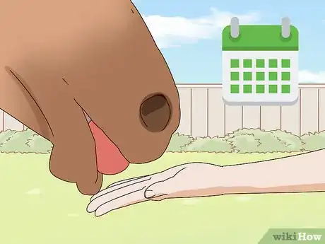 Image titled Prepare Fruit and Vegetables for Horses Step 8