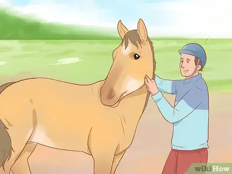 Image titled Pet a Wild Horse Step 7