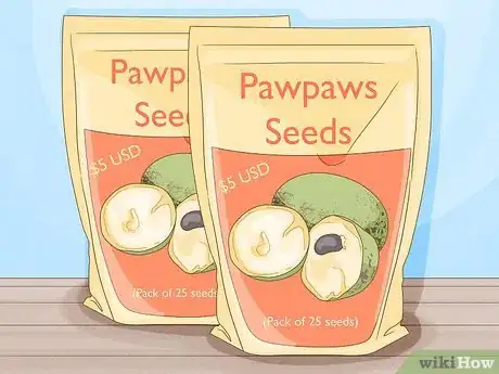 Image titled Grow Pawpaws Step 1