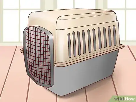 Image titled Travel Long Distance With a Cat Step 6