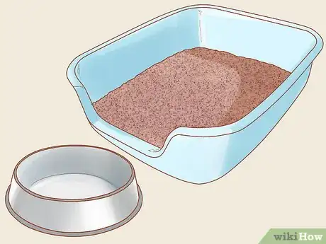 Image titled Adopt a Pair of Kittens Step 14