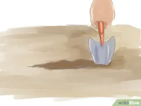 Image titled Care for a Lenton Rose Step 13