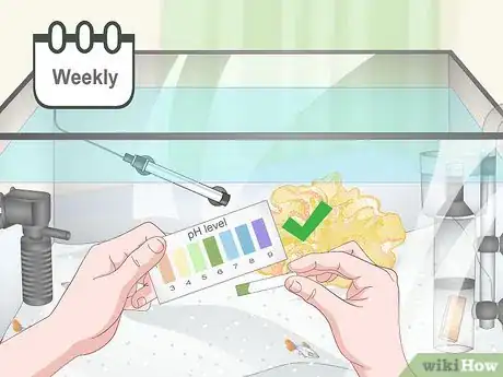 Image titled Reduce Saltwater Reef Aquarium Maintenance Step 10