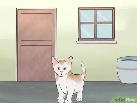 Image titled Earn a Kitten's Trust Step 11