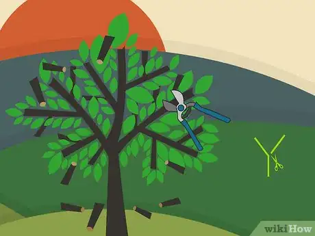 Image titled Prune Walnut Trees Step 04