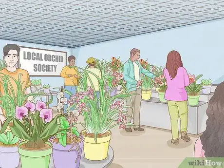 Image titled Grow Orchids for Profit Step 1