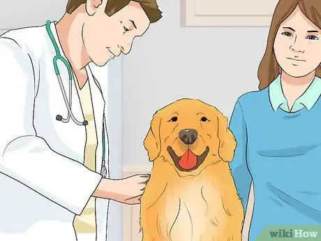 Image titled Cope With Canine Epilepsy Step 8
