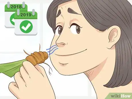 Image titled Grow Orris Root Step 13