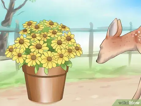 Image titled Protect Your Pets from Summertime Pests Step 14