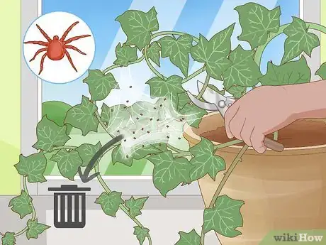 Image titled Keep an Ivy Plant Healthy Step 7